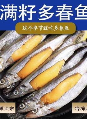 新鲜人吃籽鱼冷冻海鲜水产鲜活海鱼烧烤食材商用多春鱼满籽