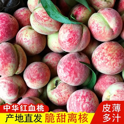 湖北胭脂红桃子血桃5斤鲜桃新鲜狗红心桃老树离核脆甜