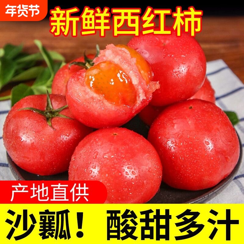 自种阳光水果西红柿新鲜自然熟生吃普罗旺斯沙瓤番茄生鲜果园炒菜