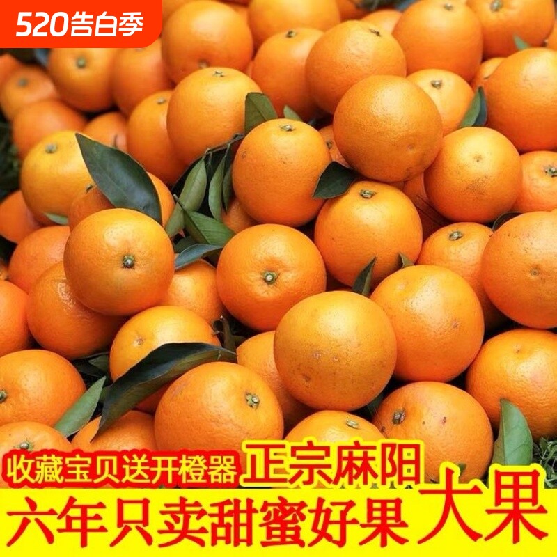 一级大果正宗麻阳冰糖橙10斤包邮新鲜水果橙子当季整箱手剥甜橙