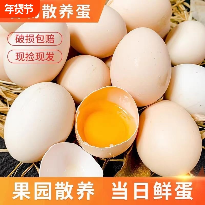 谷物鲜鸡蛋笨鸡蛋农家散养新鲜土鸡蛋新鲜柴鸡蛋鲜鸡蛋