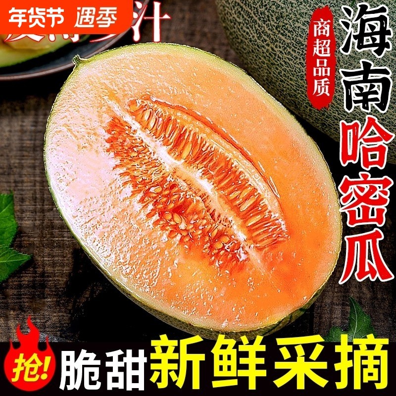 正宗海南哈密瓜爆甜新鲜现摘现发哈蜜瓜当季冰淇脆甜原产地采摘,水产肉类/新鲜蔬果/熟食,哈密瓜,淘宝优惠券,粉丝福利购,淘宝优惠卷