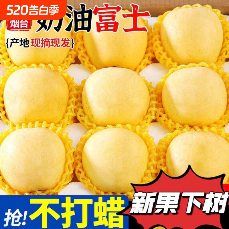 特级烟台黄金奶油苹果脆甜栖霞富士苹果应季新鲜水果整箱批发现摘