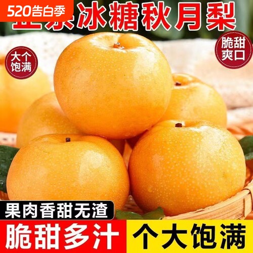 正宗秋月梨香甜多汁皮薄农家自种当季新鲜水果冰糖梨产地直发