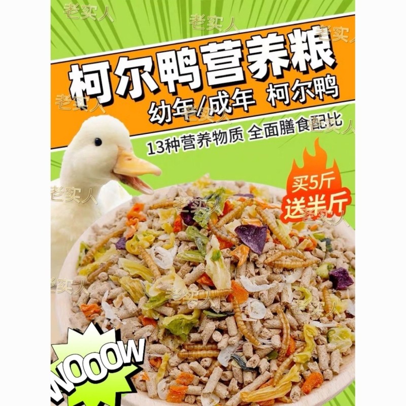柯尔鸭饲料鸭子粮食面包虫鱼干小的开口粮营养均衡可达鸭混合成年