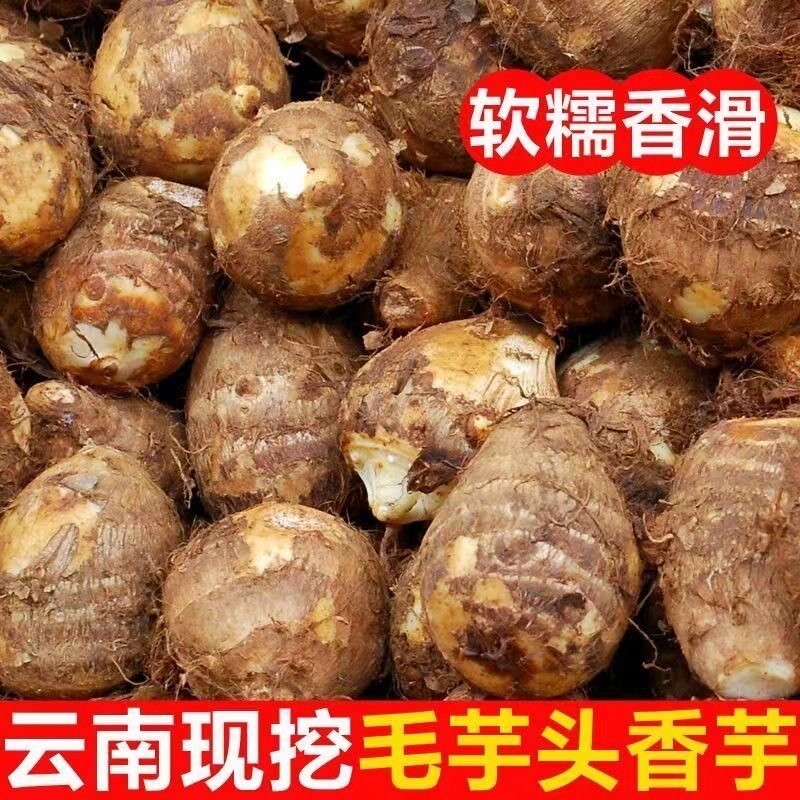 正宗农家云南鲜牛奶芋头新鲜香芋芋艿蔬菜现挖粗粮粉糯软糯奶香