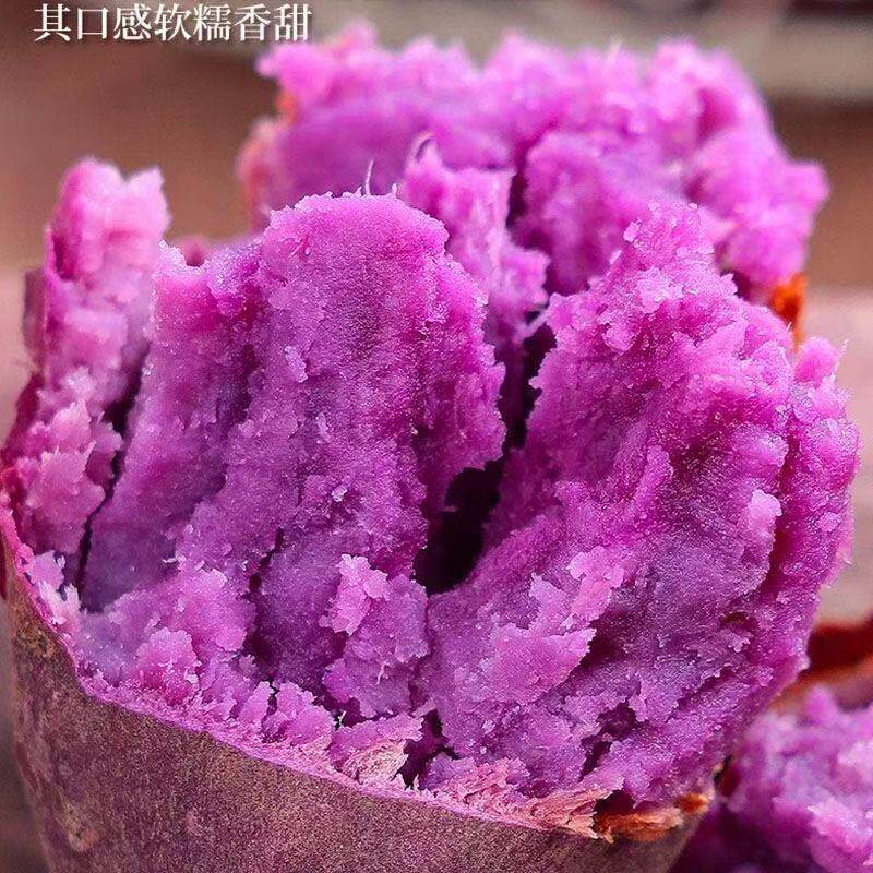 贵州农家紫薯新鲜现挖软糯香番薯紫色优选沙地食用自种