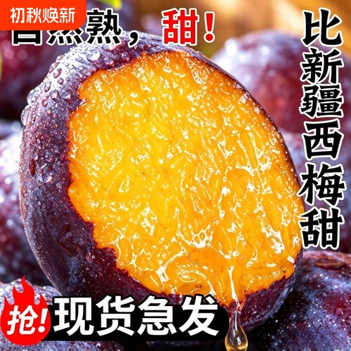 新疆西梅鲜果新鲜水果当季整箱李子法兰西应季大西梅时令特大果