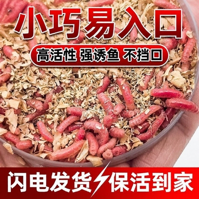 鲜活红虫饵料|超1000次加购