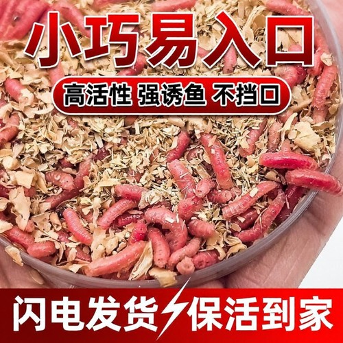 鲜活红虫饵料|超1000次加购