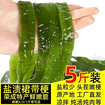 盐渍裙带菜梗5斤整箱批发海白菜裙海带海藻菜凉拌菜火锅食材即食