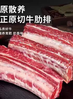 谷饲牛肋条牛腩烧烤食材红烧原切新鲜冷冻带骨生鲜牛排牛肋排