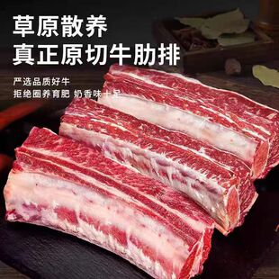 谷饲牛肋条牛腩烧烤食材红烧原切新鲜冷冻带骨牛肋条生鲜牛排带骨