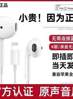 耳机有线适用于苹果17原装iPhone正品16pro15扁头14手机扁头然臣