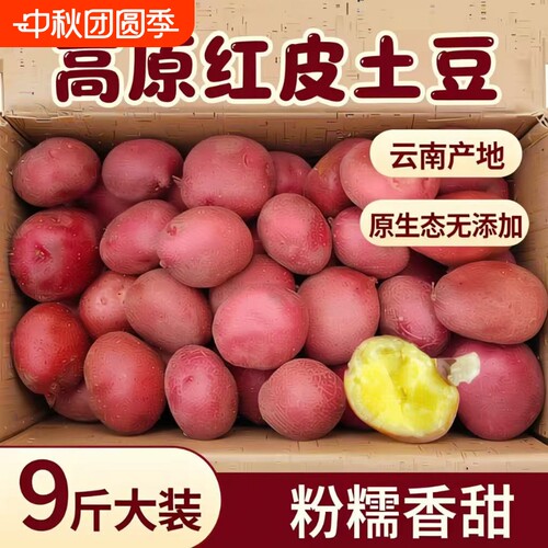 精选迷你小土豆新鲜9斤农家自种蔬菜现挖红皮小马铃薯小洋芋包邮