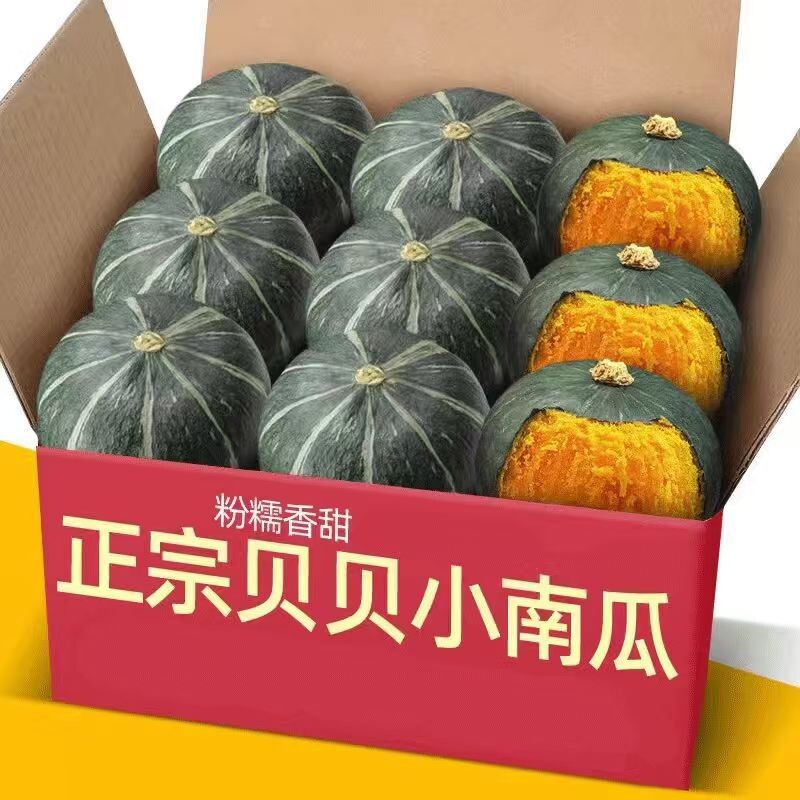 正宗贝贝南瓜板栗味5斤贝贝小南瓜新鲜果蔬老瓜粉糯甜农家10