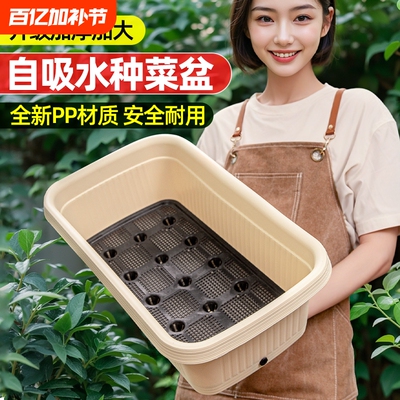 阳台种菜盆储水盆塑料懒人专用箱自动吸水种植箱自吸水特大号新款
