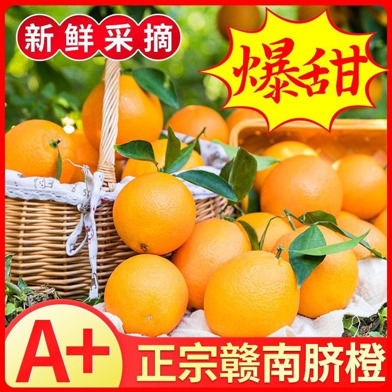 江西新鲜赣南脐橙当季水果甜橙子手剥果冻橙子产地直发大果整箱