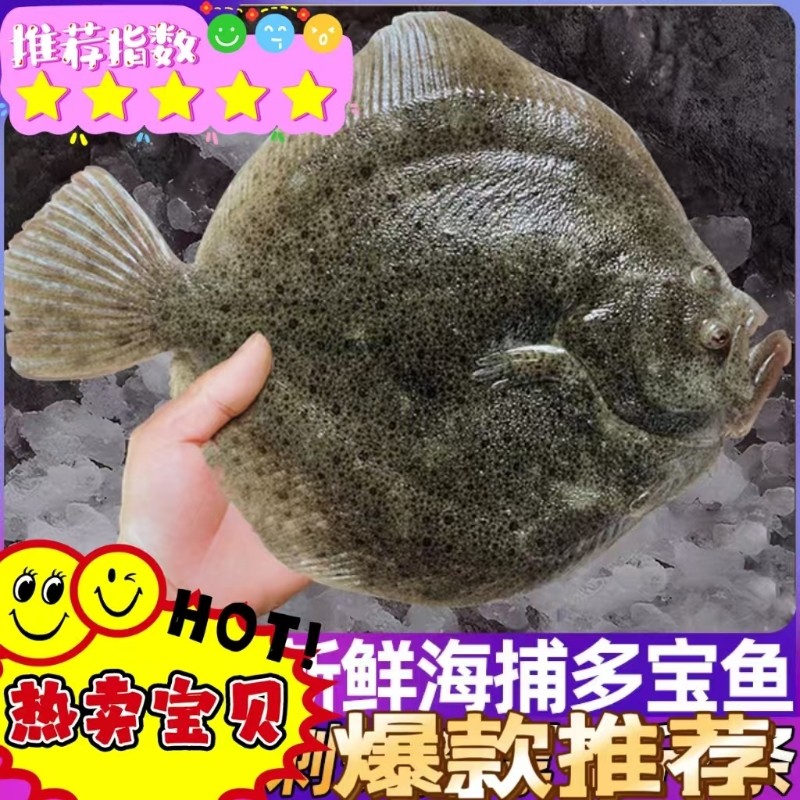 新鲜多宝鱼海鲜比目鱼冷冻鲽鱼偏口鱼雅片鱼高眼鱼海鱼批发包邮