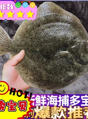 新鲜多宝鱼海鲜比目鱼冷冻鲽鱼偏口鱼雅片鱼高眼鱼海鱼批发包邮