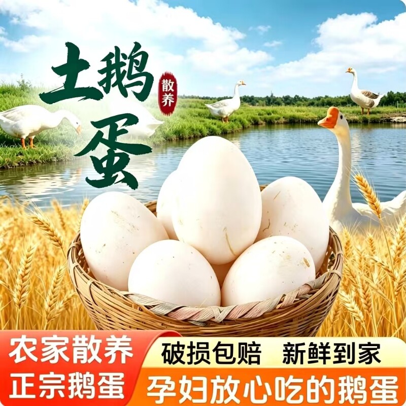 新鲜散养土鹅蛋现捡现发天然健康正宗农家自养孕妇儿童老人营养蛋