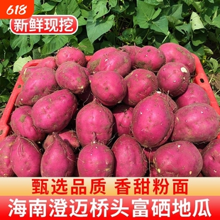 桥头地瓜圆果海南澄迈富硒红薯农家板栗沙地番薯新鲜食用现挖甄选