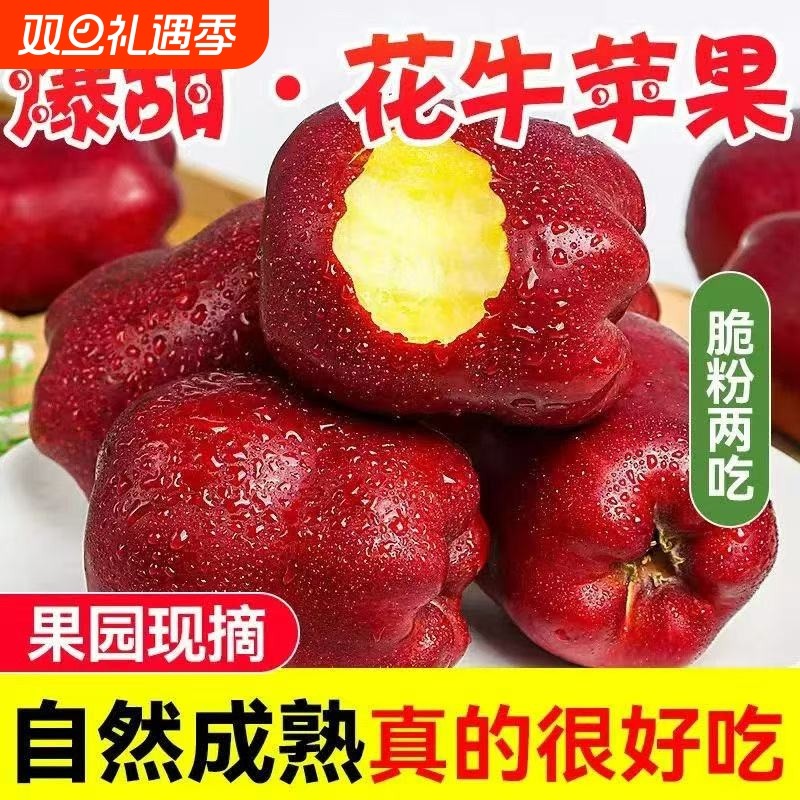 甘肃天水花牛苹果新鲜水果红蛇果当季直发宝宝老人辅食果园现摘