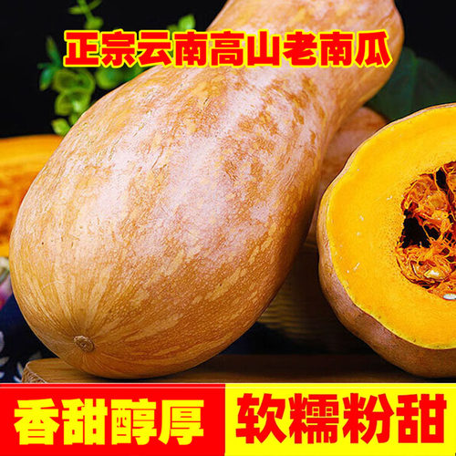 正宗蜜本老南瓜自然成熟超甜面