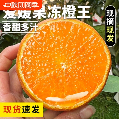 爱媛果冻橙鲜果新鲜整箱发