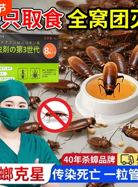 蟑螂药家用正品非无毒第全强效端一名饭店灭除窝杀蟑虫卵双杀虫剂