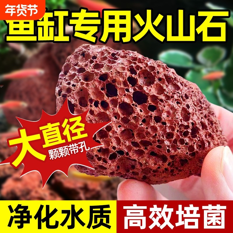 火山石鱼缸颗粒水族垫底砂生态造景专用大块火山岩养鱼乌龟过滤用,鲜花速递/花卉仿真/绿植园艺,介质/营养土,淘宝优惠券,粉丝福利购,淘宝优惠卷