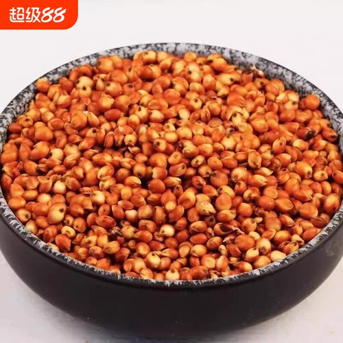 红高粱红缨子东北糯高粱