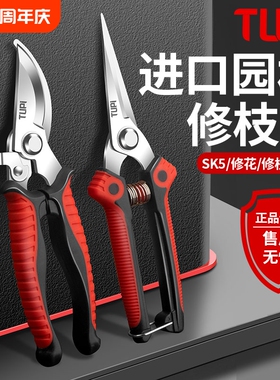 修剪树枝专用剪刀修枝剪刀SK5钢园林园艺果树剪剪子剪枝工具剪刀