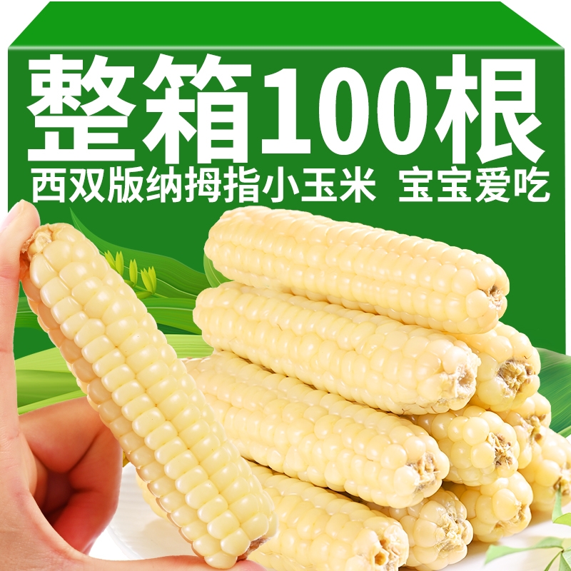 5斤云南西双版纳拇指小玉米