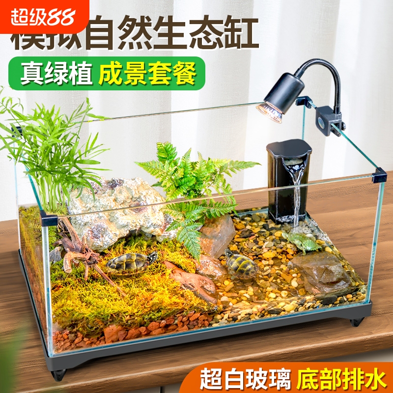 乌龟饲养缸生态造景家用玻璃缸小型水陆两用养鱼缸专用缸客厅换水