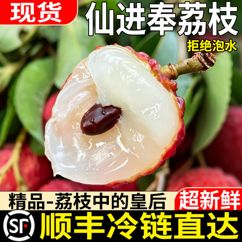 正宗仙进奉荔枝皇后小核爆甜荔枝