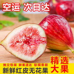 空运-云南新鲜现在无花果波姬红紫皮大果孕妇儿童可食水果整箱