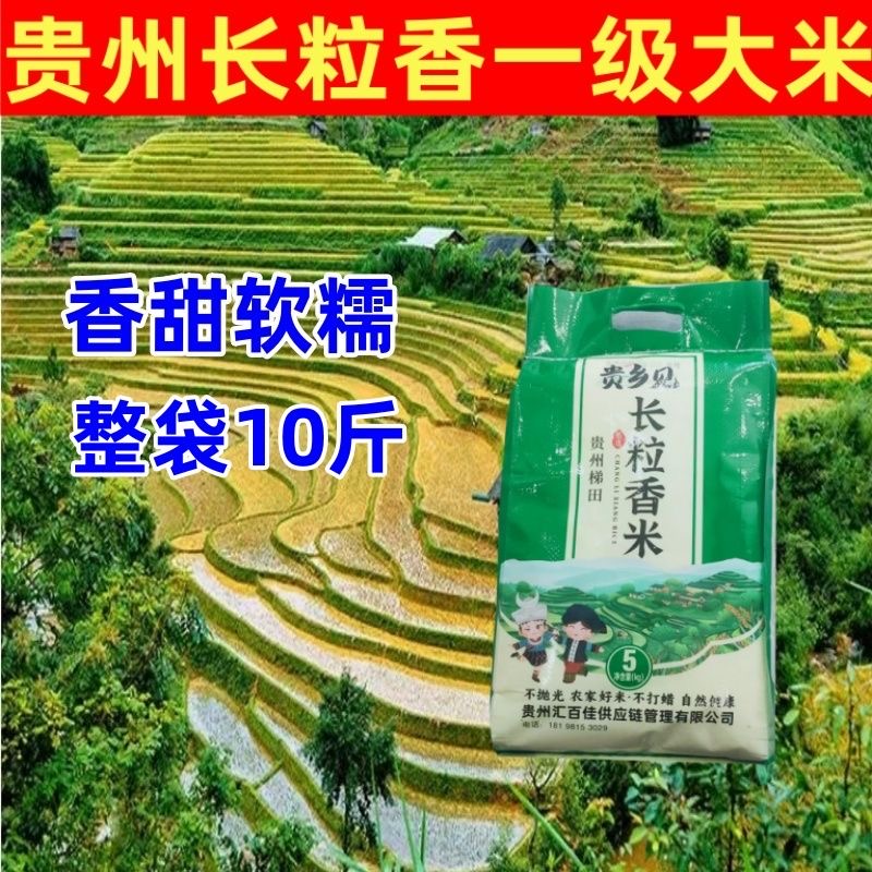 贵州梯田长粒香米香软口感轻松做出美味煲仔饭煮饭香软有嚼劲