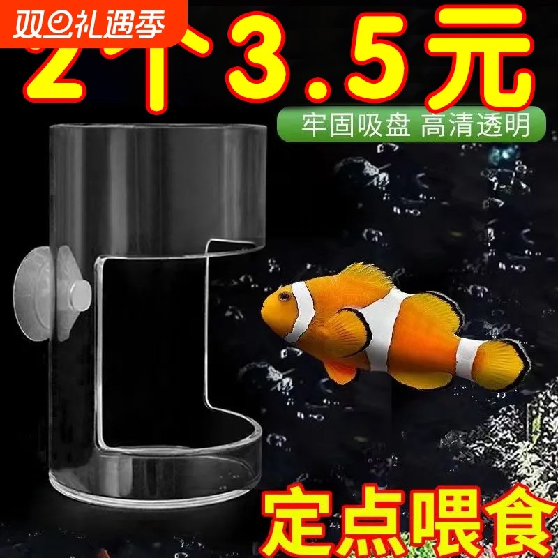 丰年鱼食鱼缸喂食孔雀鱼定点盒下沉自动喂器神器摆件悬浮大口径