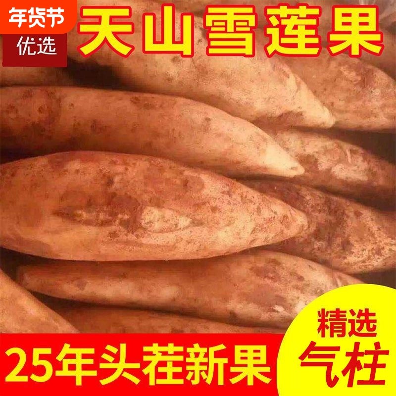 【A＋】天山雪莲果新鲜中大果应当季水果精品云南雪连果整箱低糖,水产肉类/新鲜蔬果/熟食,雪莲果,淘宝优惠券,粉丝福利购,淘宝优惠卷