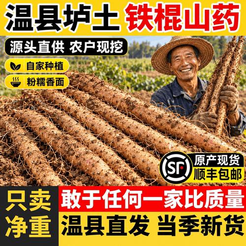 正宗河南焦作温县垆土铁棍山药特产铁杆山药产地直发新鲜5斤整箱