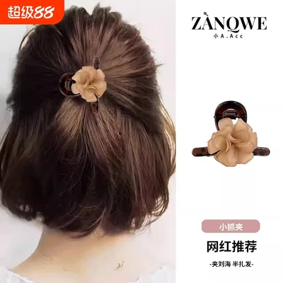 山茶花精致小抓夹后脑勺半扎发