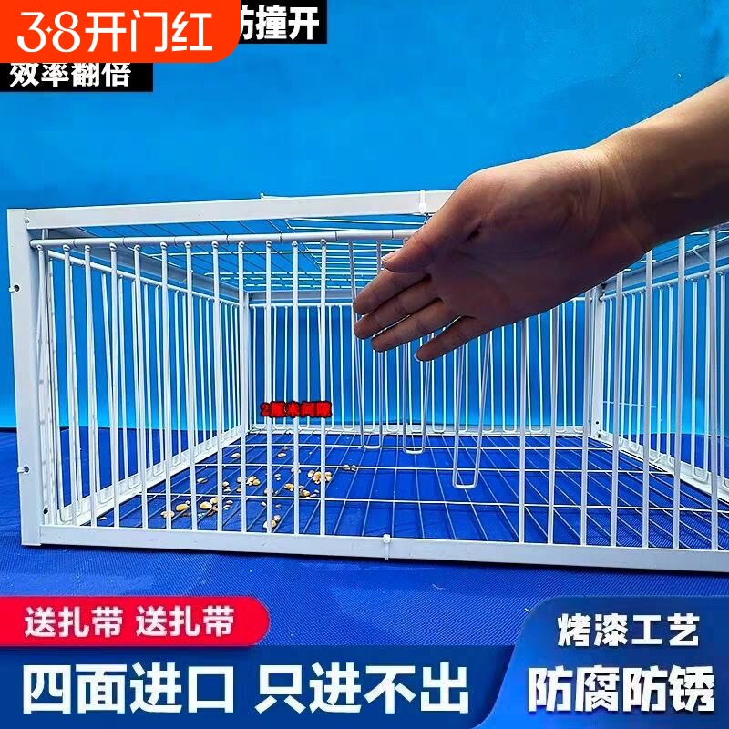 户外捕鸡神器全自动天落笼四面撞门只进不出养鸽笼鸟笼收抓加密网