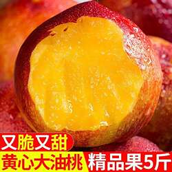 安徽砀山黄心油桃应季大桃子新鲜水果当季孕妇水果桃子整箱脆甜