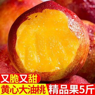 安徽砀山黄心油桃应季大桃子新鲜水果当季孕妇水果桃子整箱脆甜