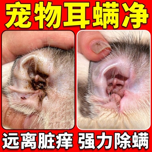 猫咪耳朵滴耳液耳螨专用药宠物猫狗通用耳肤灵马拉色菌清洗液棉签