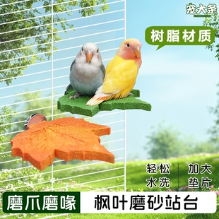 新款鹦鹉树枝磨砂站杆不掉渣玄凤虎皮磨爪棒小鸟站台站架鸟笼配件