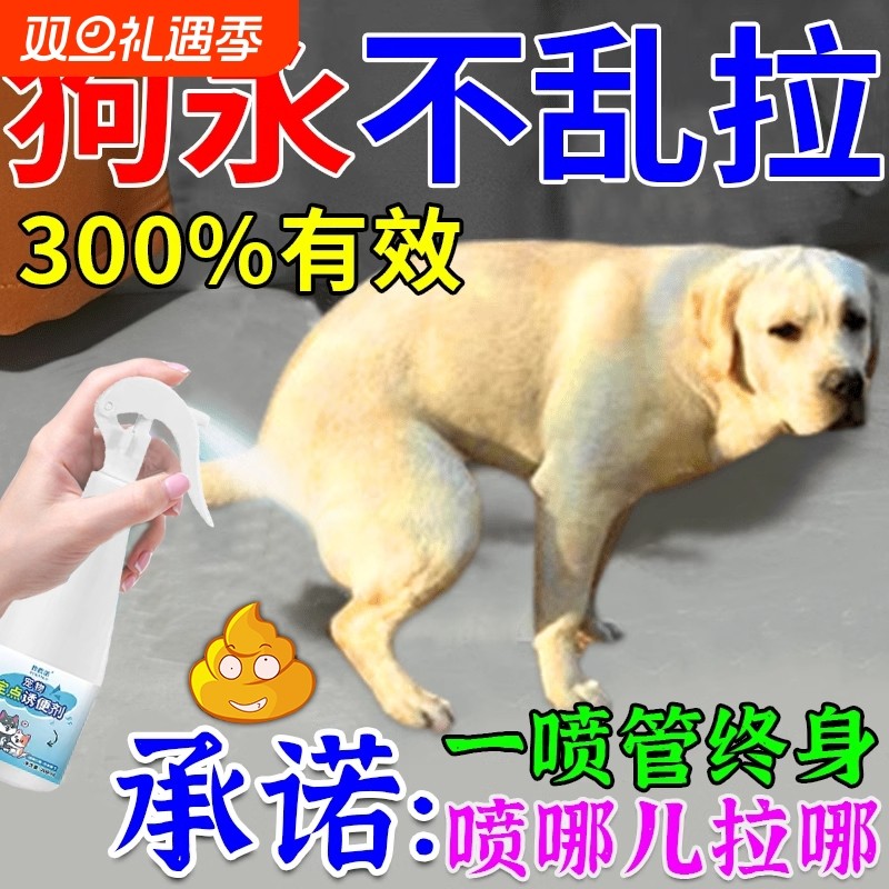 狗狗定点排便诱导剂上厕所神器大小便防止乱拉屎尿粪便自动清理J