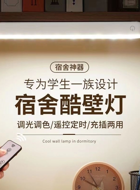 LED台灯充电护眼学习专用led宿舍灯磁吸附酷毙灯遥控神器电池插电