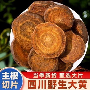 野生大黄中药材四川大黄马蹄黄土大黄羊蹄根洋铁叶官方旗舰店正品